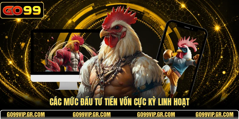 AOG Đá Gà - Sảnh Cược Trực Tuyến Đẳng Cấp Nhất 2026 Các mức đầu tư tiền vốn cực kỳ linh hoạt