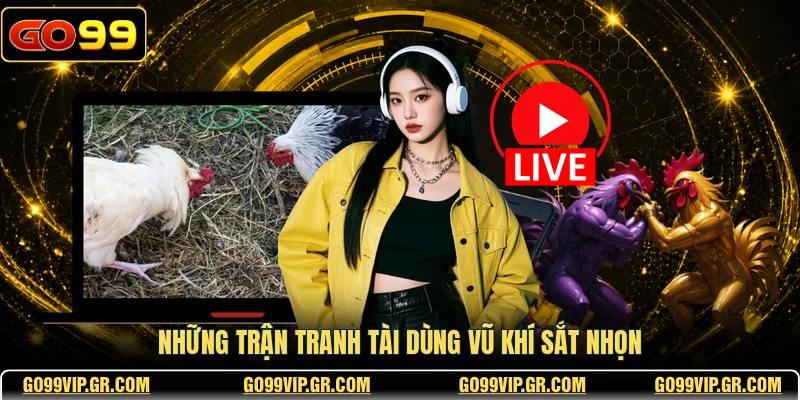 AOG Đá Gà - Sảnh Cược Trực Tuyến Đẳng Cấp Nhất 2026 Những trận tranh tài dùng vũ khí sắt nhọn